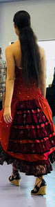 Indian Silk Formal Gown